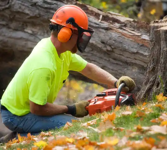 tree services Lovelock